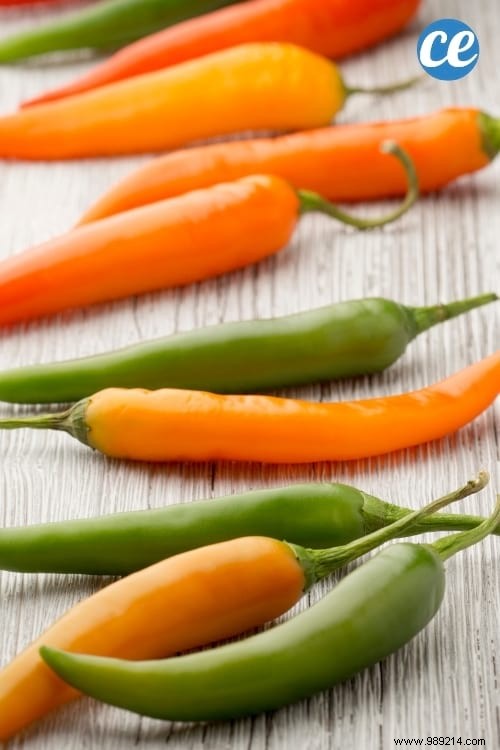 20 Science-Backed Foods to Accelerate Weight Loss