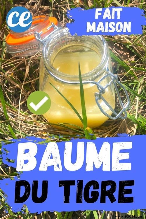 Homemade Tiger Balm Recipe: My Proven Natural DIY for Pain Relief