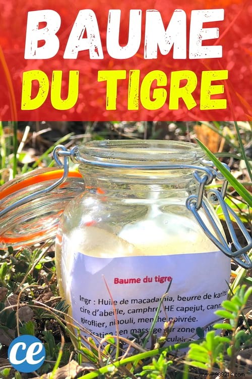 Homemade Tiger Balm Recipe: My Proven Natural DIY for Pain Relief