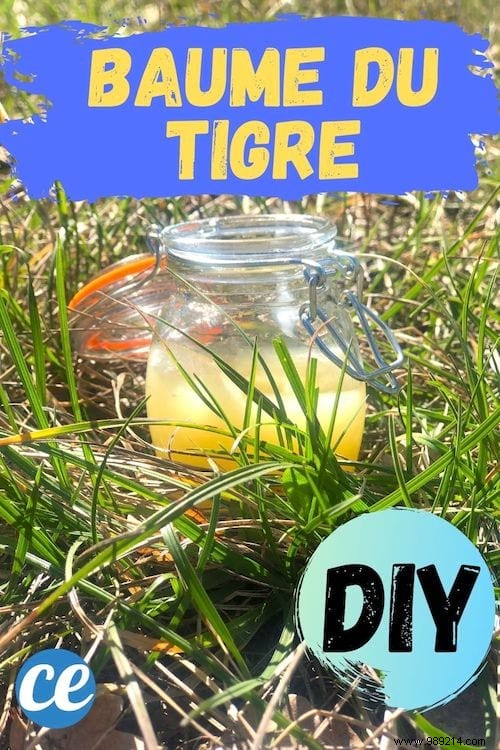Homemade Tiger Balm Recipe: My Proven Natural DIY for Pain Relief