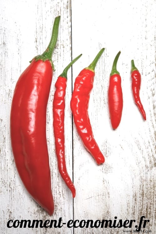8 Science-Backed Health Benefits of Chili Peppers