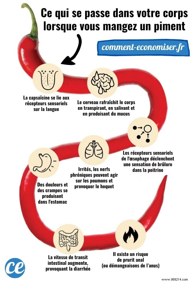 8 Science-Backed Health Benefits of Chili Peppers