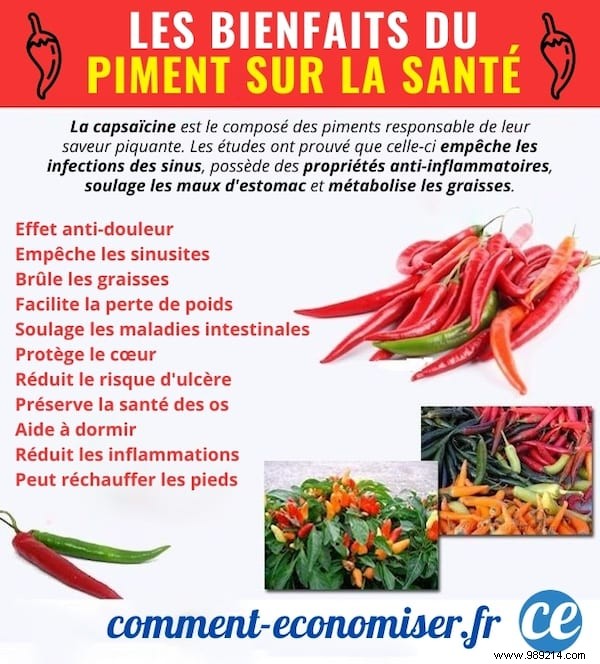 8 Science-Backed Health Benefits of Chili Peppers