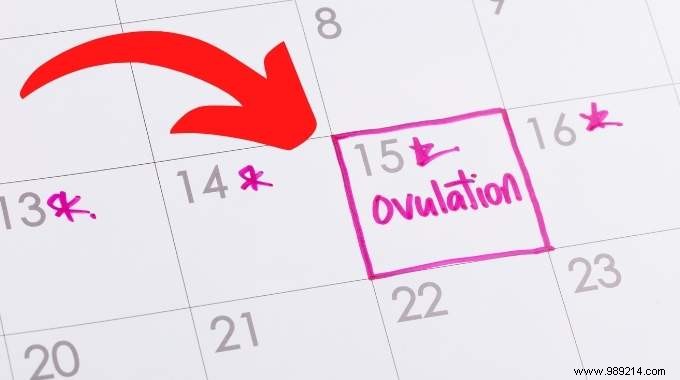 6 Reliable Signs of Ovulation: Spot Your Fertile Window Naturally