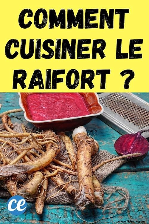 10 Proven Health Benefits of Horseradish: From Digestion to Immunity