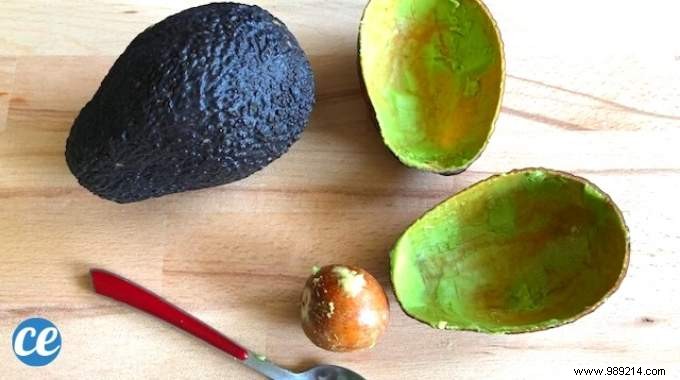 3 Genius Ways to Repurpose Avocado Peels for Healthier, Glowing Skin