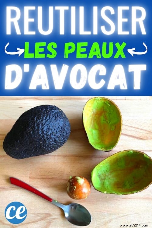 3 Genius Ways to Repurpose Avocado Peels for Healthier, Glowing Skin