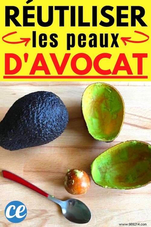 3 Genius Ways to Repurpose Avocado Peels for Healthier, Glowing Skin