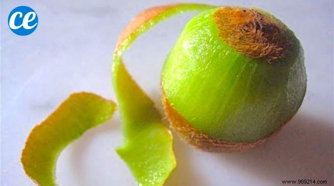 4 Smart Ways to Reuse Kiwi Skins and Reduce Waste