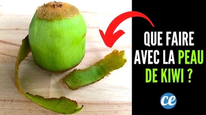 4 Smart Ways to Reuse Kiwi Skins and Reduce Waste