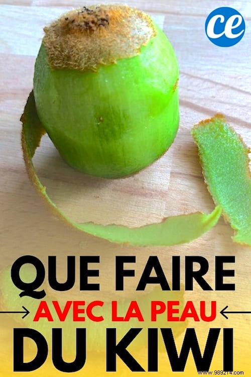 4 Smart Ways to Reuse Kiwi Skins and Reduce Waste