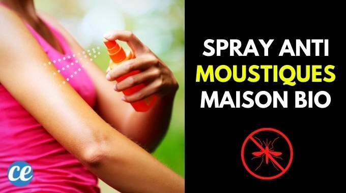 DIY Organic Mosquito Repellent Spray: Ready in 30 Seconds for Under €1