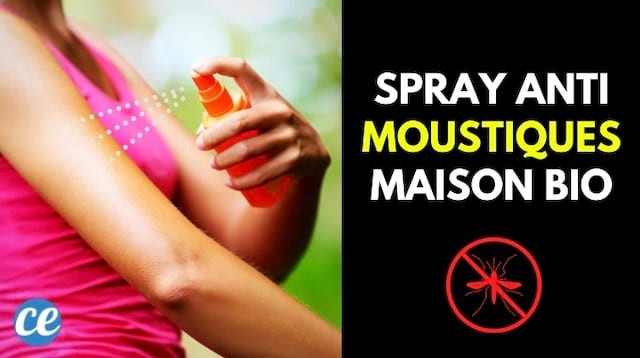DIY Organic Mosquito Repellent Spray: Ready in 30 Seconds for Under €1
