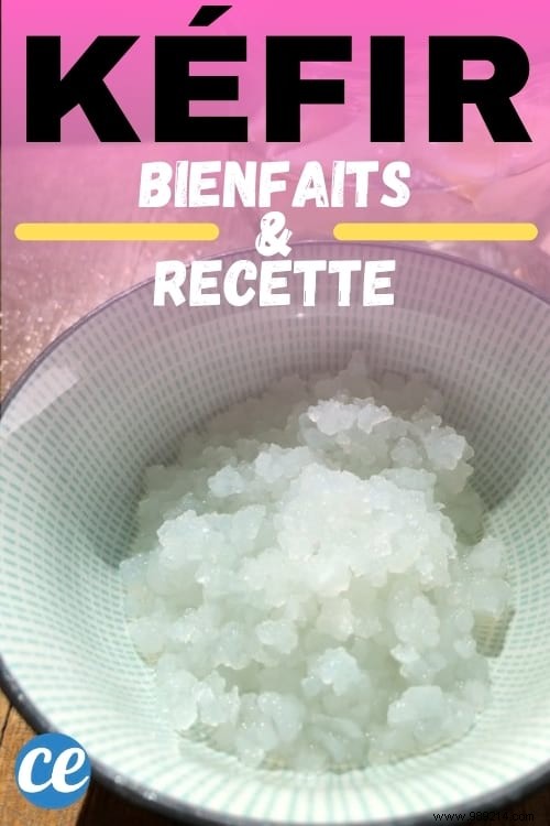 Homemade Water Kefir: A Probiotic Powerhouse with Proven Health Benefits – Easy Recipe