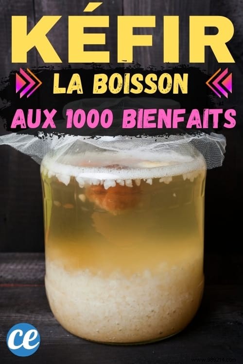 Homemade Water Kefir: A Probiotic Powerhouse with Proven Health Benefits – Easy Recipe