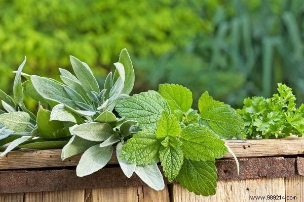 9 Time-Tested Natural Remedies for Dry, Irritated Nose – Pharmacist Approved