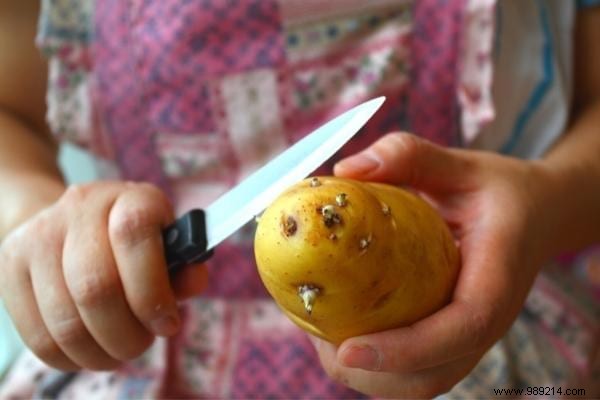 Are Sprouted Potatoes Safe to Eat? Expert Gardening Insights