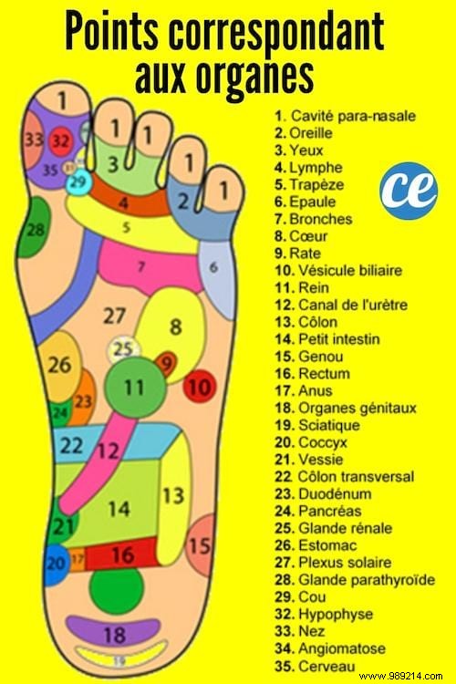 10 Proven Foot Reflexology Points to Relieve Everyday Pain Naturally