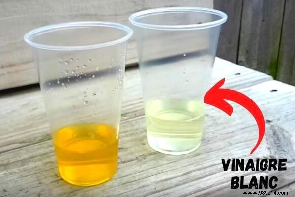 8 Traditional Homemade Pregnancy Tests Our Grandmothers Used – Fun Folklore, But Not Foolproof