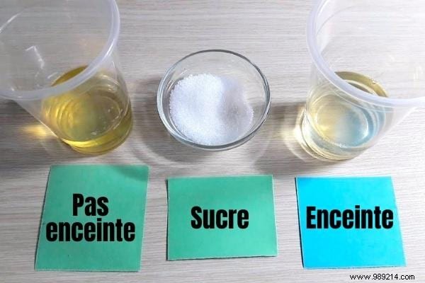 8 Traditional Homemade Pregnancy Tests Our Grandmothers Used – Fun Folklore, But Not Foolproof