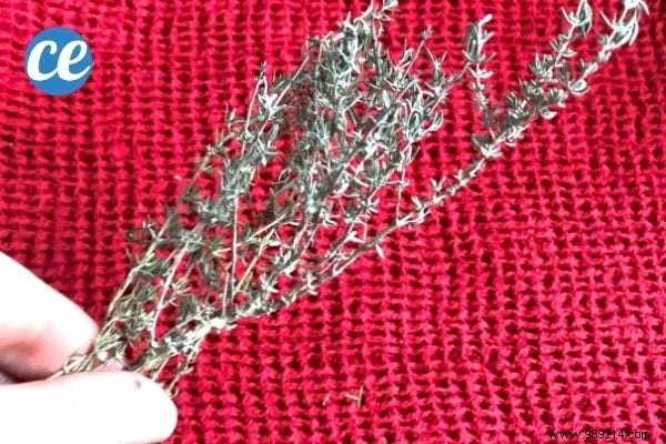 Homemade Thyme Cough Syrup: Simple Recipe for Natural Relief