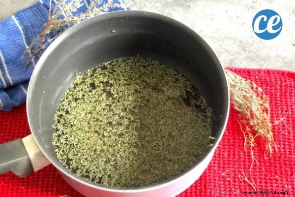Homemade Thyme Cough Syrup: Simple Recipe for Natural Relief