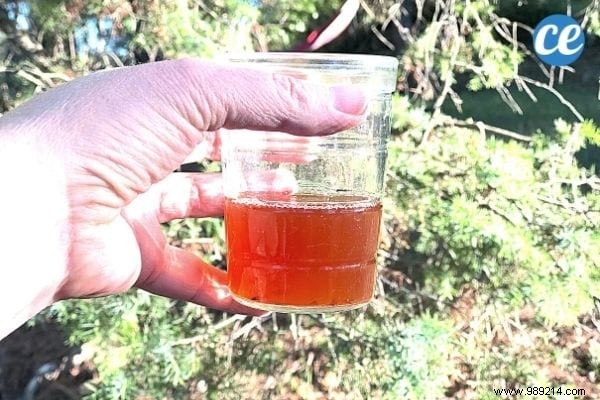 How I Quit Coffee for Apple Cider Vinegar and Regained Natural Energy