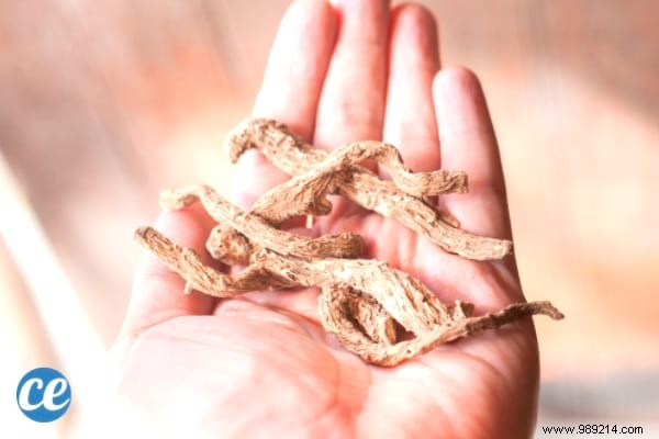 11 Natural Ways to Help Induce Your Period Early: Safe, Time-Tested Tips