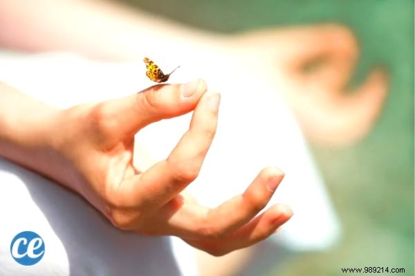 11 Natural Ways to Help Induce Your Period Early: Safe, Time-Tested Tips