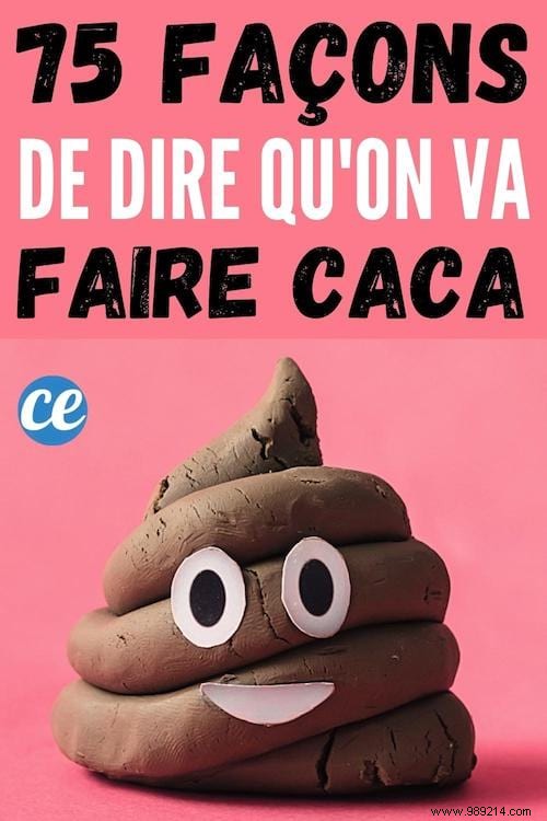 75 Creative French Expressions for Saying You re Heading to Poop