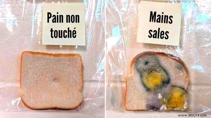 Teacher s Bread Experiment Proves Why Soap and Water Are Essential for Kids  Handwashing