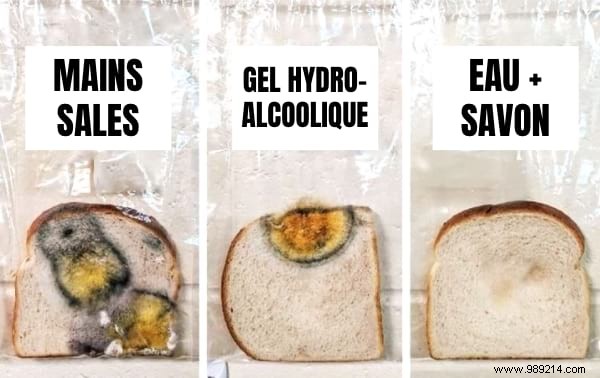 Teacher s Bread Experiment Proves Why Soap and Water Are Essential for Kids  Handwashing