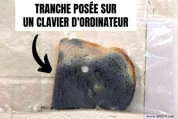 Teacher s Bread Experiment Proves Why Soap and Water Are Essential for Kids  Handwashing