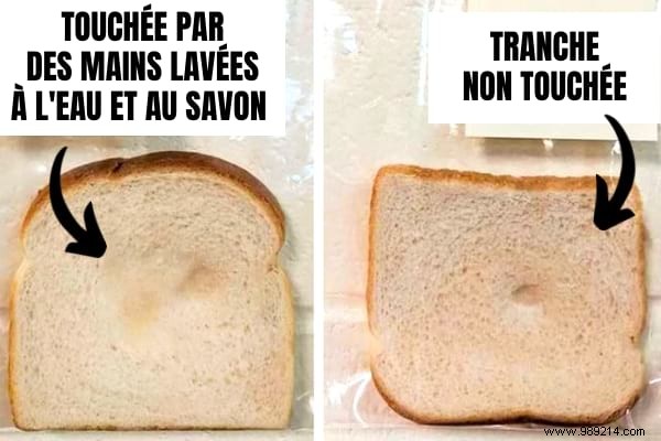 Teacher s Bread Experiment Proves Why Soap and Water Are Essential for Kids  Handwashing