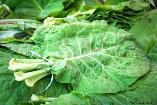 11 Time-Tested Cabbage Leaf Remedies for Everyday Ailments