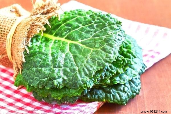 11 Time-Tested Cabbage Leaf Remedies for Everyday Ailments