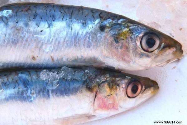 11 Highest-Cholesterol Foods: 7 Nutritious Ones to Enjoy and 4 to Limit for Heart Health