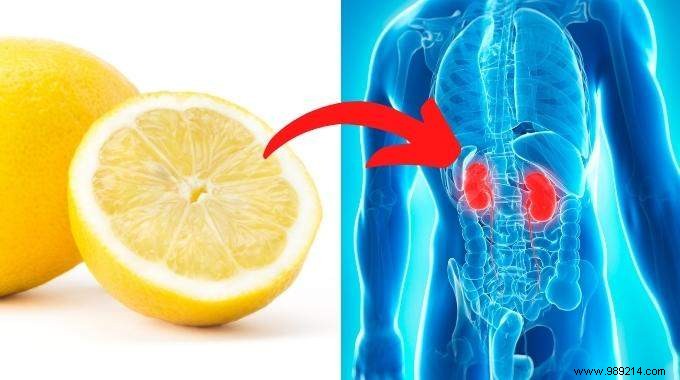 12 Kidney-Supporting Foods to Eat and 6 to Avoid for Optimal Health
