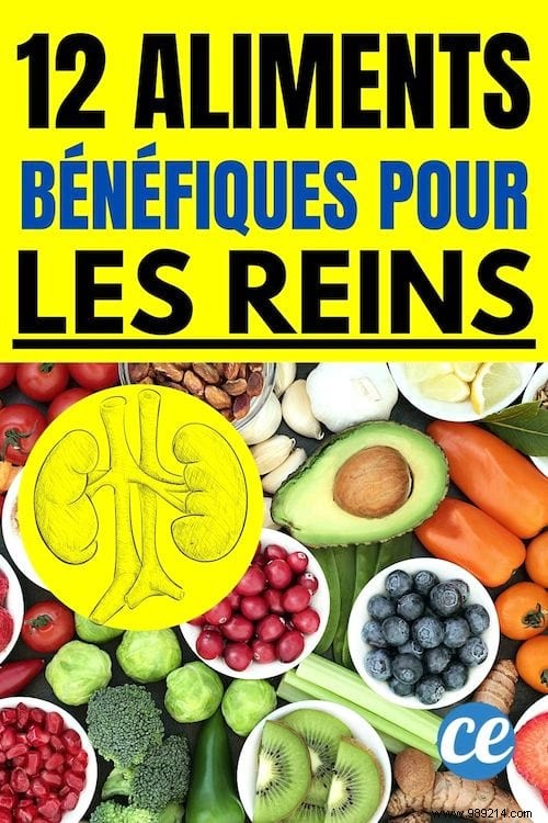 12 Kidney-Supporting Foods to Eat and 6 to Avoid for Optimal Health