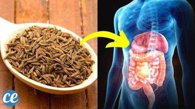 12 Science-Backed Benefits of Cumin: This Powerful Spice for Digestion, Weight Loss, and More