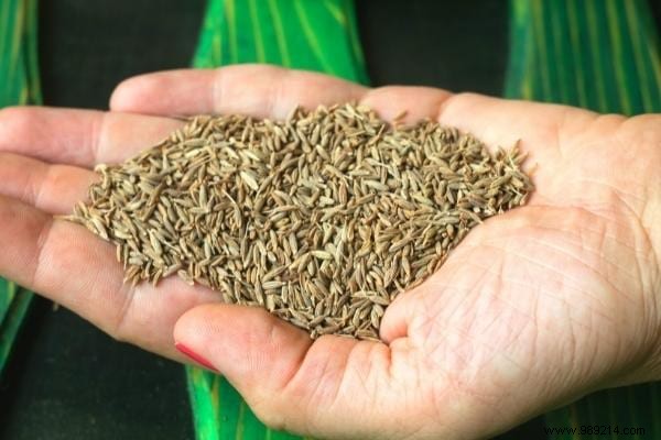 12 Science-Backed Benefits of Cumin: This Powerful Spice for Digestion, Weight Loss, and More