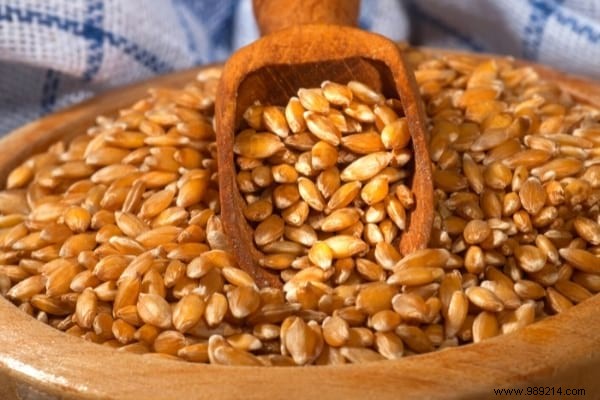 7 Proven Health Benefits of Einkorn Flour: Nature s Ancient Super Grain