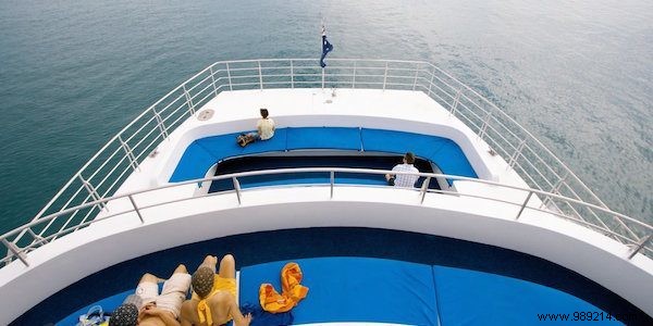 12 Proven Ways to Get Paid While Traveling the World