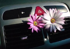 My Proven DIY Car Air Freshener Hack: Natural, Affordable, and Effective