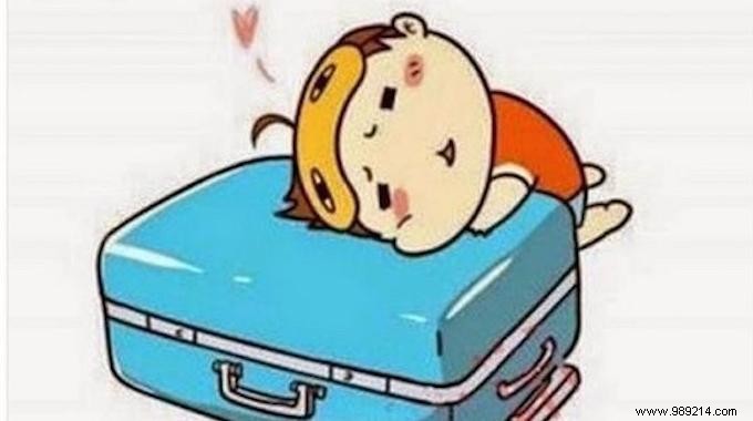 The Pro s Guide to Packing Efficiently: Save Space, Time, and Money