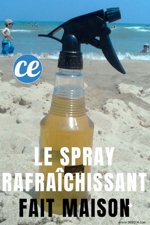 DIY Green Tea Face Mist: Easy Homemade Recipe for Hydration and Instant Cooling