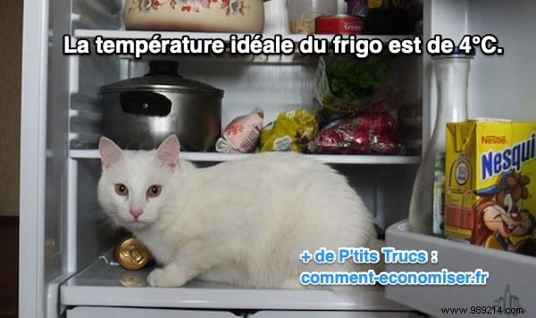 Ideal Fridge Temperature: Set to 4°C for Fresh Food and Energy Savings