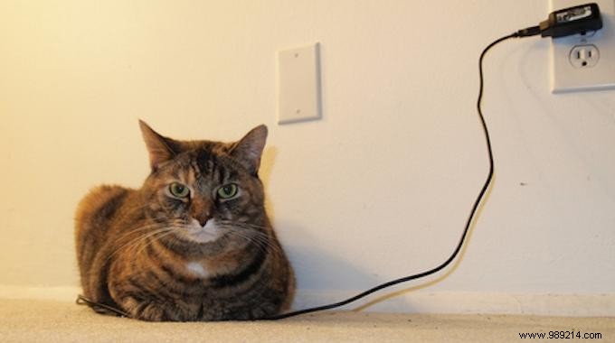 Save Energy Effortlessly: Why Unplugging Your Charger Matters More Than You Think