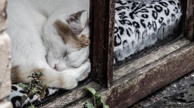 2 Proven Tips to Seal Doors and Windows for Better Energy Savings