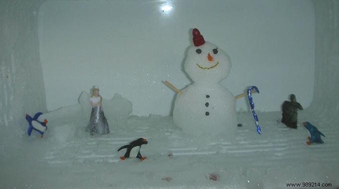 Quick Freezer Defrosting Trick: Boil Water for Fast, Efficient Results